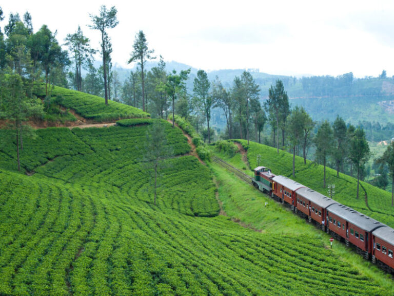 Sri Lanka Tea Trails area