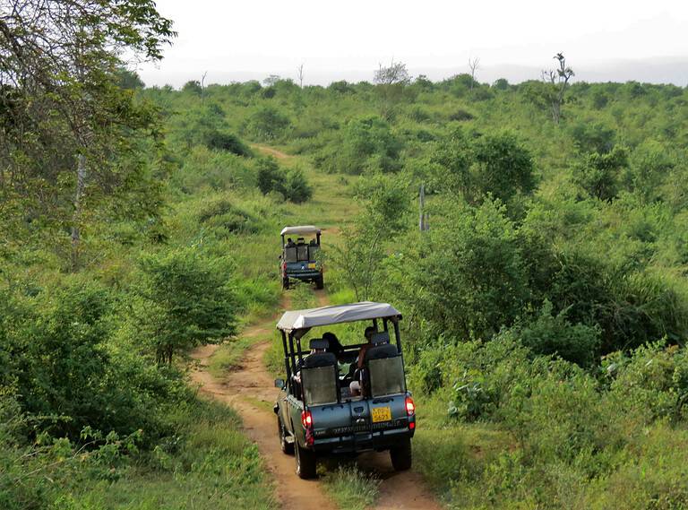 Sri Lanka safari