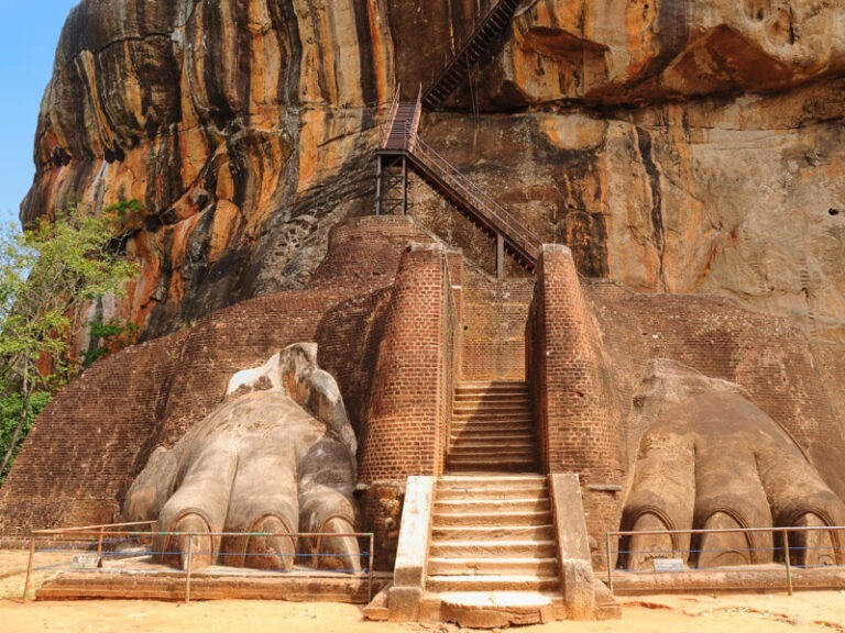 Sri Lanka sigiriya-lion-paws