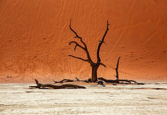 Sossuvlei Deadvlei