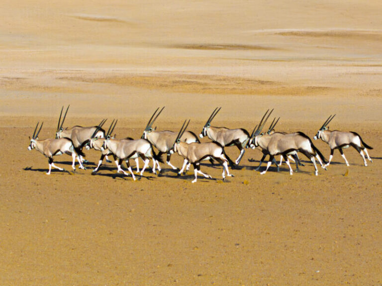 Namibia 4x4 Experience-15