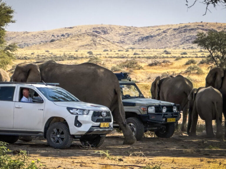 Namibia 4x4 Experience-42