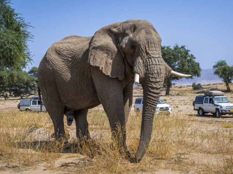 Namibia 4x4 Experience-45