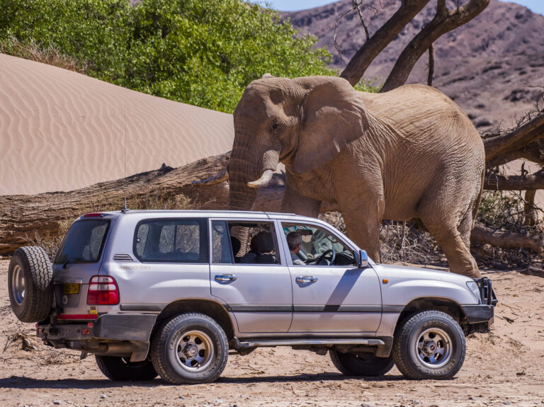 Namibia 4x4 Experience-8