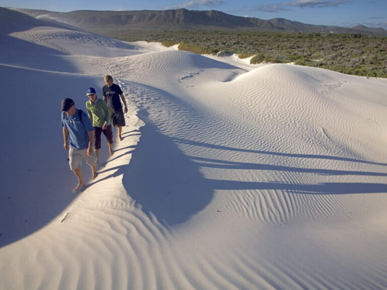 Sanddunes
