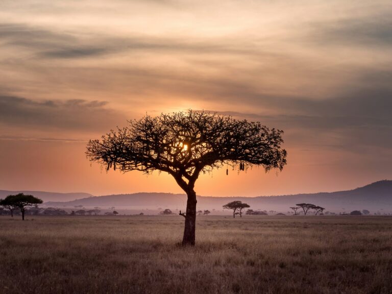 South-Africa-Sunset
