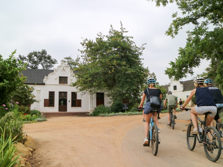 Stellenbosch bicycle tours