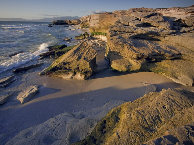 Walker Bay Marine Reserve