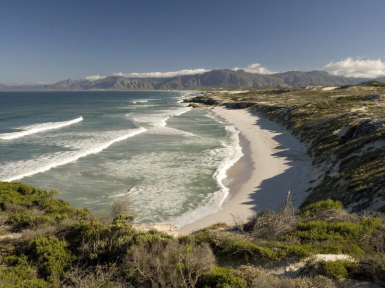 Walker Bay