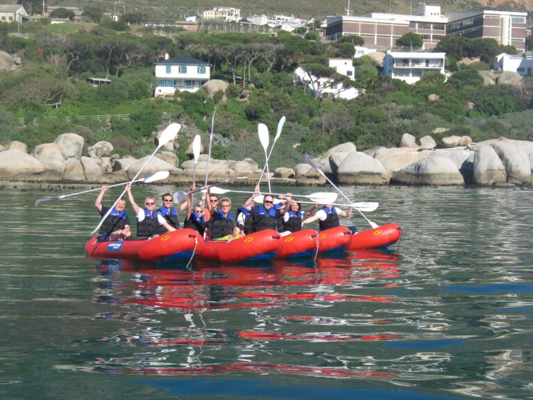 penguin paddle1
