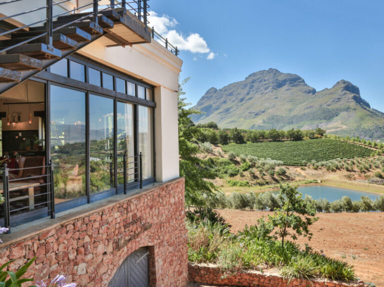 winelands (1)