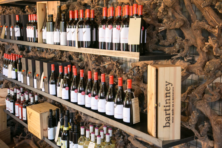 winelands (10)